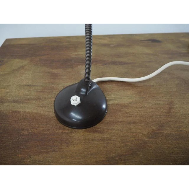 Mid-Century Bakelite Table Lamp, 1950s For Sale - Image 10 of 11