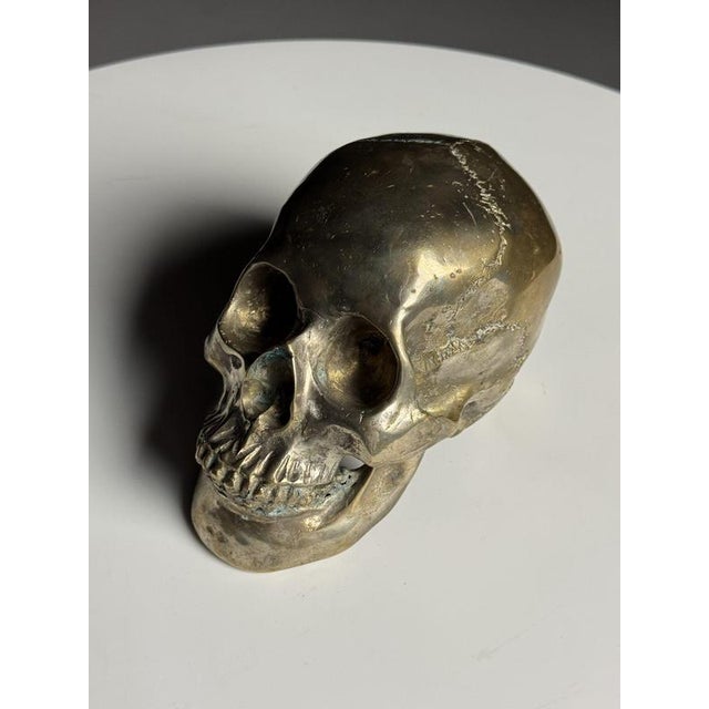 Early 20th Century Bronze Skull For Sale - Image 10 of 14