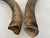 1960s Primitive Longhorn Bull Horns Southwest D√©cor - Set of 2 For Sale - Image 9 of 9