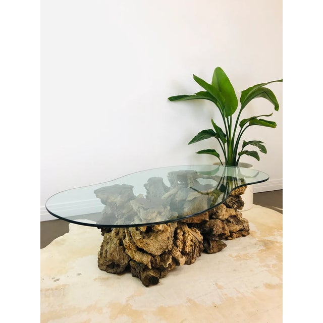 Vintage 1970s Burlwood Driftwood Sculptural Glass Top Coffee Table For Sale - Image 4 of 11