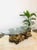 Vintage 1970s Burlwood Driftwood Sculptural Glass Top Coffee Table For Sale - Image 4 of 11