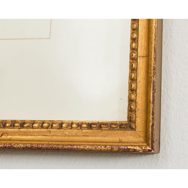 Pair Jacques Barraband Hand Colored Ornithological Bird Prints For Sale - Image 15 of 17