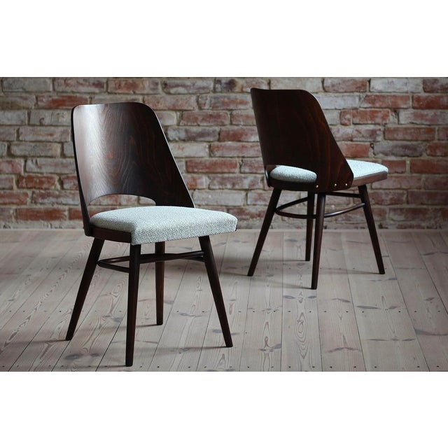 Mid-Century Model 514 Dining Chairs attributed to Radomir Hofman for Ton, 1960s, Set of 4 For Sale - Image 4 of 18