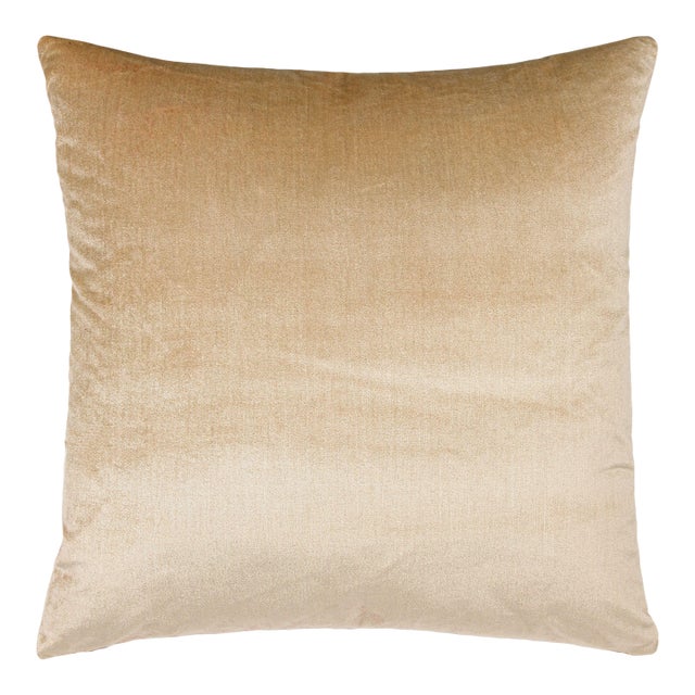 Scalamandre 22" x 22" Tiberius Pillow in Sand For Sale