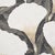 Traditional Schumacher Constance Fabric In Black For Sale - Image 3 of 5