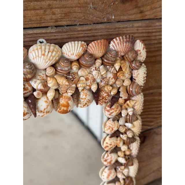 Contemporary Vintage Organic Coastal Seashell Wall Mirror For Sale - Image 3 of 9
