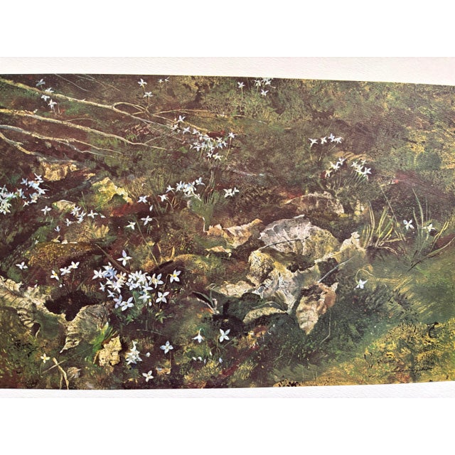 Printmaking Materials Andrew Wyeth, Quaker Ladies or Bluets, 1962 Published Lithograph Print For Sale - Image 7 of 9