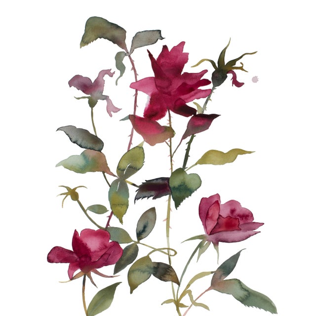 "Rose Study No. 84" Contemporary Original Botanical Flowers Watercolor Painting by Elizabeth Becker For Sale