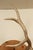 Cabin Pair of Elk Antlers Mounted on Pine For Sale - Image 3 of 9