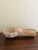 19th Century Italian Marble Shell Font From a Catholic Church For Sale - Image 11 of 12
