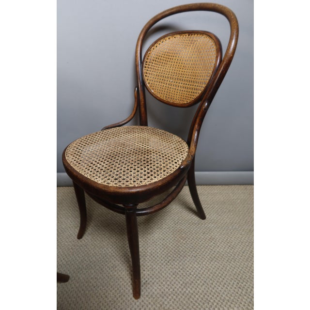 Thonet Chairs and Armchairs by Michael Thonet for Thonet, 1890s, Set of 11 For Sale - Image 4 of 10