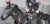Rider by Alpay Efe | Oil on canvas of a rider on a horse in grayscale tones. For Sale