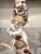 Von Schierholz Handmalerei Dresden Cherub Putti Flower Candle Holders-Pair For Sale In Dallas - Image 6 of 12