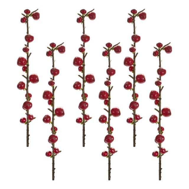Red Berry Twig Stem (Set of 6) For Sale