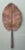 Mid 20th Century Vintage Copper Botanical Wall Art For Sale - Image 5 of 12