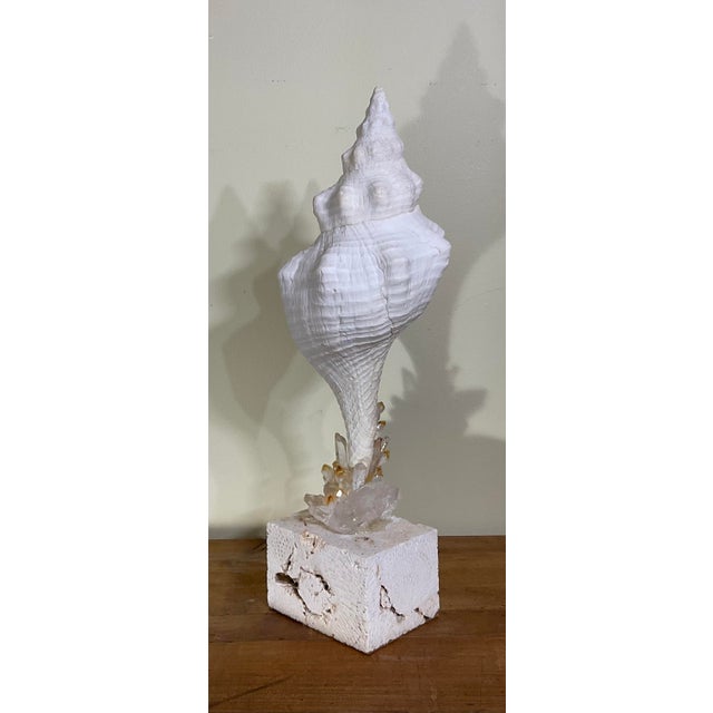 2020s Handcrafted Marine & Mineral Sculpture by Joseph Malekan For Sale - Image 5 of 18