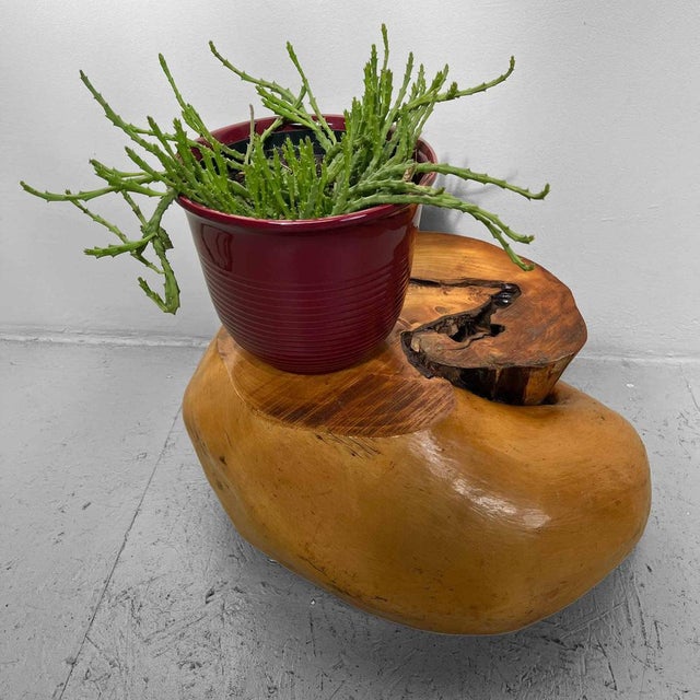 Wood Japanese Burl Root Plant Stand, 1950s For Sale - Image 7 of 14