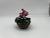 Petite Bovano of Cheshire Enamel Floral Decorative Planter Cyclamen Persicum For Sale - Image 4 of 7