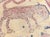 Doris Leslie Blau Samarkand Rug For Sale - Image 4 of 9
