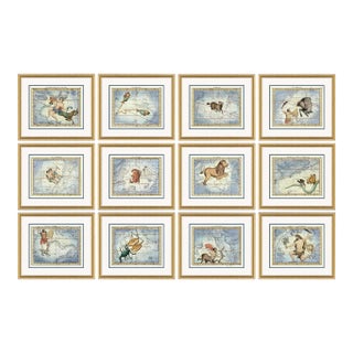 Astrology Signs Series Framed Art Prints - Set of 12 by David Phoenix For Sale