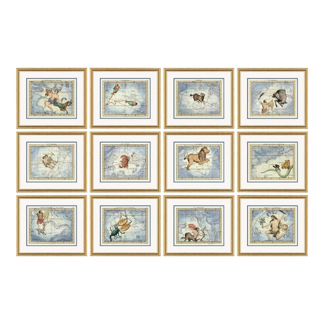 Astrology Signs Series Framed Art Prints - Set of 12 by David Phoenix For Sale