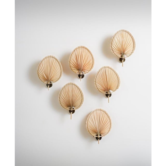 Fan Wall Lights in the style of Ingo Maurer, 1970s, Set of 2 For Sale - Image 13 of 13