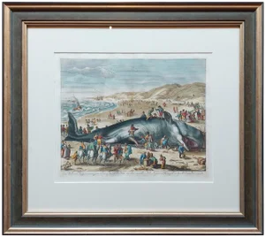 Van Der Gouwen, Beached Whale, 1680, Paper, Framed