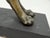 Antique Medieval Bronze Sculpture of a Lion For Sale - Image 4 of 18