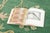 Contemporary Chinese Deco Style Green & Gold Floral Wool Rug by Rug & Kilim For Sale - Image 9 of 9