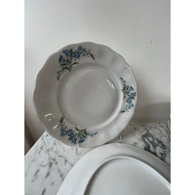 Early 20th Century Karolina Porcelain Bluebell Floral Dinner Plate - Set of 10, Poland For Sale - Image 5 of 8