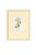 Set of Twelve Antique Alpine Botanical Chromolithographs Circa 1909 in Custom Frames. For Sale