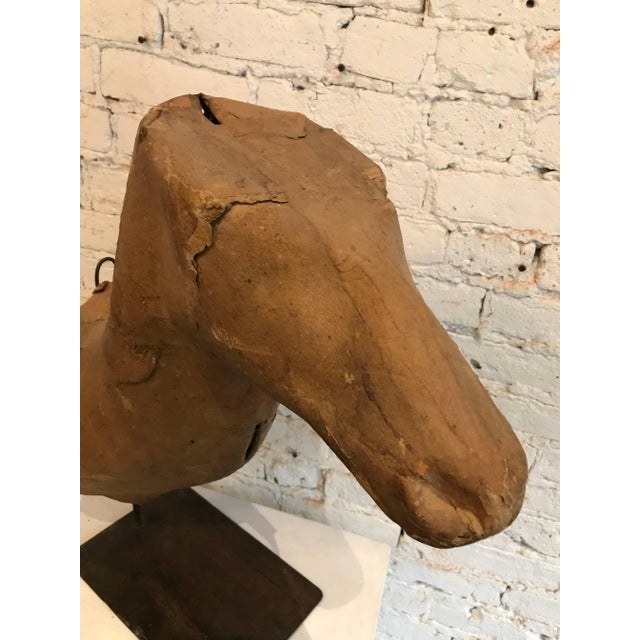 Early 20th Century Taxidermy Mold Horse Head For Sale - Image 9 of 11