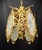 1960s Vintage Brass Chandelier Pendant Light French Style Floral Glass Ceiling Fixture For Sale - Image 5 of 12