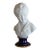 1900s Gorgeous Camille Tharaud (1878-1956) Limoges Bisque Bust of Alexandre Brongniart For Sale
