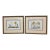 Soicher-Marin Daffodil Botanical Art Print, Pair For Sale