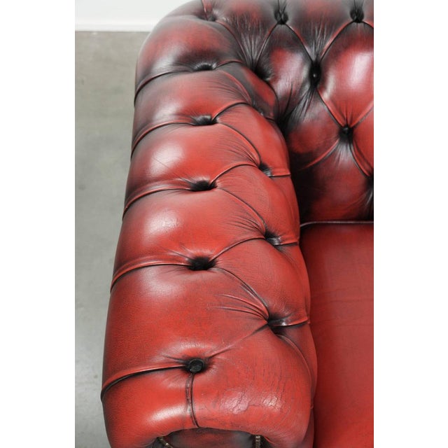 Brown English Chesterfield Sofa in Cow Leather For Sale - Image 8 of 16