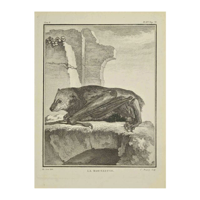 Jean Charles Baquoy, La Roussette, Etching, 1771 For Sale