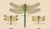 Dragonflies of Central Europe, 1908, Lithograph, Set of 3 For Sale - Image 13 of 14