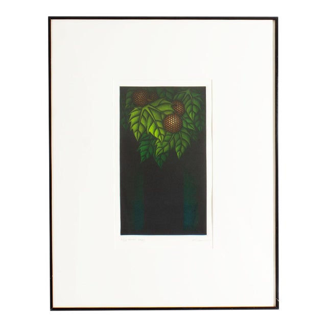 1980 “Honda Berry” Limited Edition Mezzotint by Kazuhisa Honda For Sale