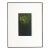 1980 “Honda Berry” Limited Edition Mezzotint by Kazuhisa Honda For Sale