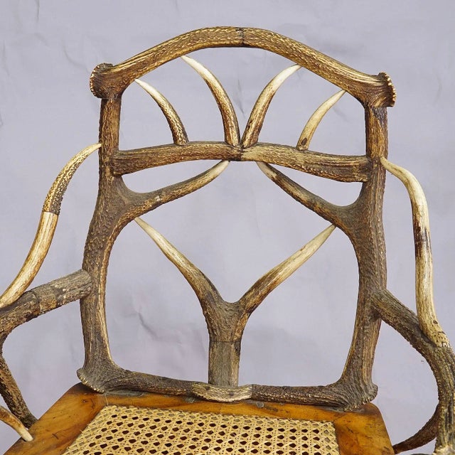 Black Forest Antler Arm Chair by J. A. K. Horn, Turingen 1840s For Sale - Image 6 of 10