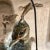 Sergio Bustamante Sergio Bustamante Hanging Metal Parrot Sculpture, 1970s Mexico, Signed For Sale - Image 4 of 14