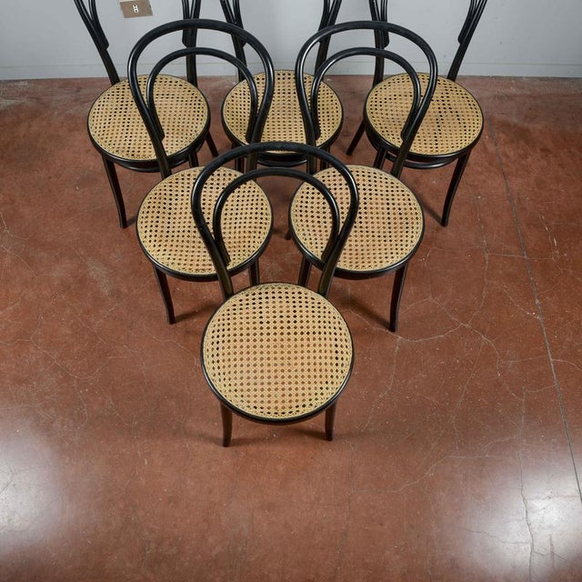 Black Chairs in the style of Thonet, Set of 6 For Sale - Image 8 of 9