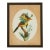 Framed Antique Watercolor of a Pair of Toucans For Sale