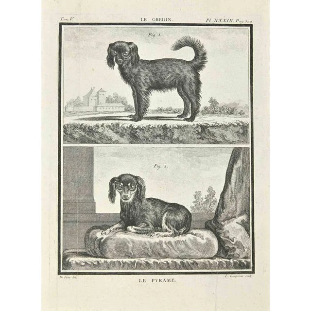 Le Pyramus is an etching made by Louis-Simon Léglise in 1771. It belongs to the suite "Natural, general and particular...