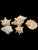 Coastal Vintage Large Coastal Genuine Natural Conch Sea Shells- Set of 6 For Sale - Image 3 of 16