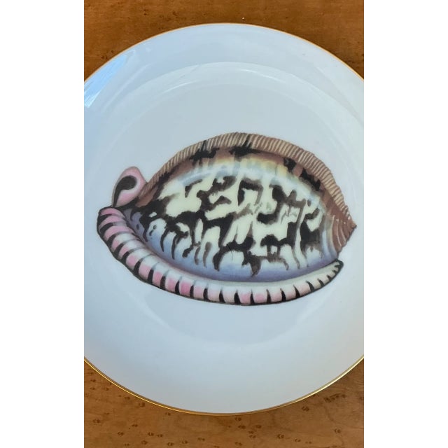 This set of twelve vintage Fitz and Floyd shell motif ceramic plates brings a refined coastal sensibility to the table,...