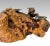 Large Burl Wood Candelabra Table Centerpiece / Candle Holder For Sale - Image 4 of 9