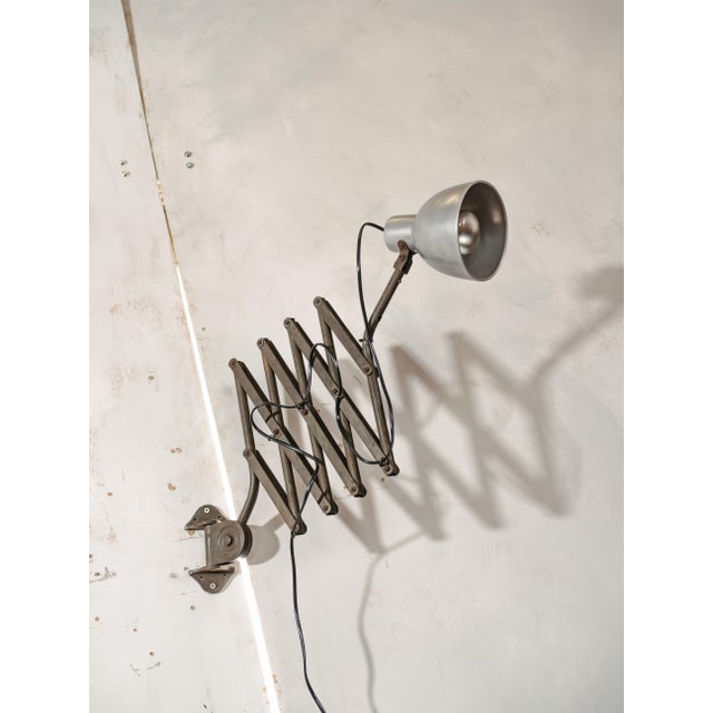Vintage Army Green Patina Scissor Lamp from Hala, 1930s For Sale - Image 17 of 18