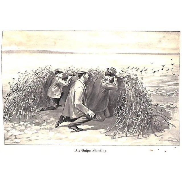 Paper Rob and His Gun For Sale - Image 7 of 11